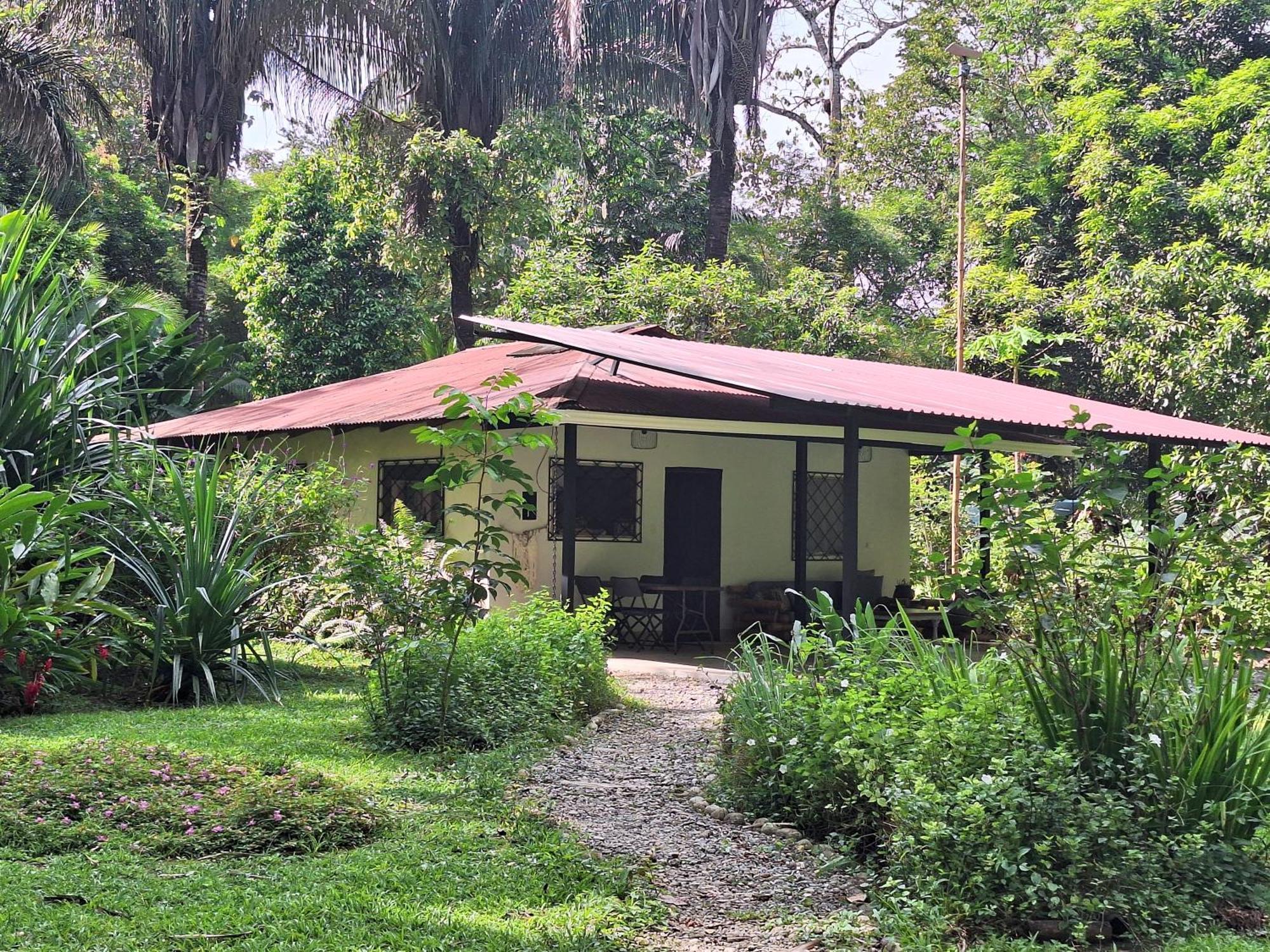 Four Monkeys Eco Lodge Jungle & Beach - The House Cabo Matapalo Kültér fotó